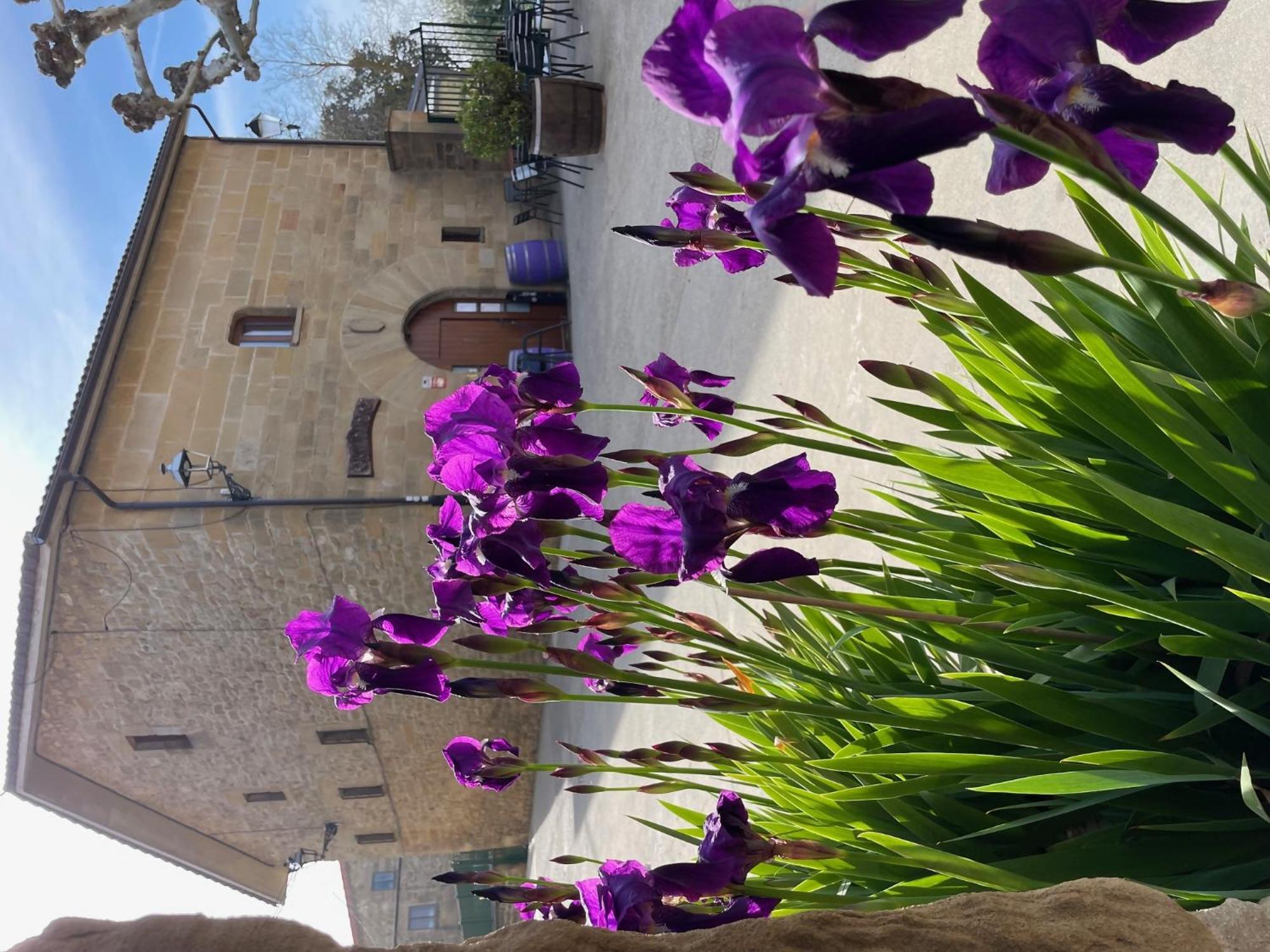 La Posada De Leza La Guardia المظهر الخارجي الصورة